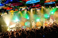 シナリオアート「ワンマンツアー 2015　[Scene #1] -Happy Umbrella-」東京・LIQUIDROOM公演の様子。（撮影：佐藤広理）