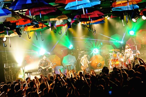 シナリオアート「ワンマンツアー 2015　[Scene #1] -Happy Umbrella-」東京・LIQUIDROOM公演の様子。（撮影：佐藤広理）