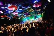 シナリオアート「ワンマンツアー 2015　[Scene #1] -Happy Umbrella-」東京・LIQUIDROOM公演の様子。（撮影：佐藤広理）