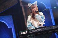 七星ぐみ（撮影：ハヤシサトル）