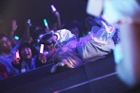 七星ぐみ（撮影：ハヤシサトル）