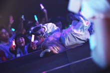 七星ぐみ（撮影：ハヤシサトル）