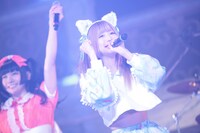 左から恋汐りんご、七星ぐみ。（撮影：ハヤシサトル）