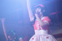 恋汐りんご（撮影：ハヤシサトル）