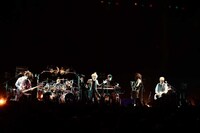 cali≠gari「セックスと嘘とステラボール」の様子。（撮影：小松陽祐）