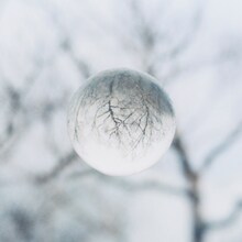 androp「androp」Amazon.co.jp先着購入特典の「andropアナザージャケットステッカー」。