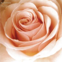 サニーデイ・サービス「BEST FLOWER -B SIDE COLLECTION-」ジャケット