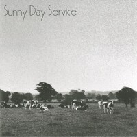 サニーデイ・サービス「サニーデイ・サービス」ジャケット