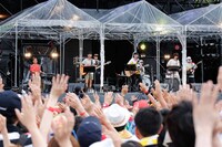 オスの絡み多め。（写真提供：アミューズ）