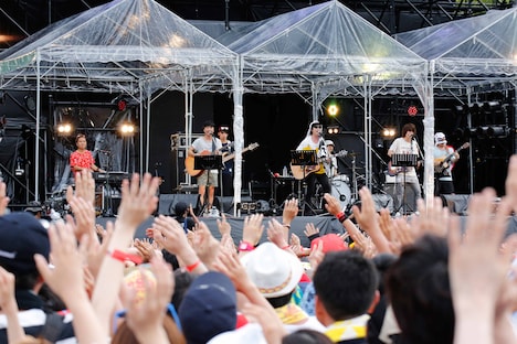 オスの絡み多め。（写真提供：アミューズ）