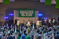 Negicco