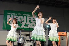 Negicco