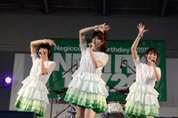 Negicco
