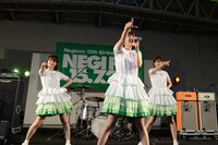 Negicco