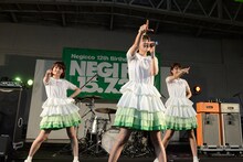 Negicco