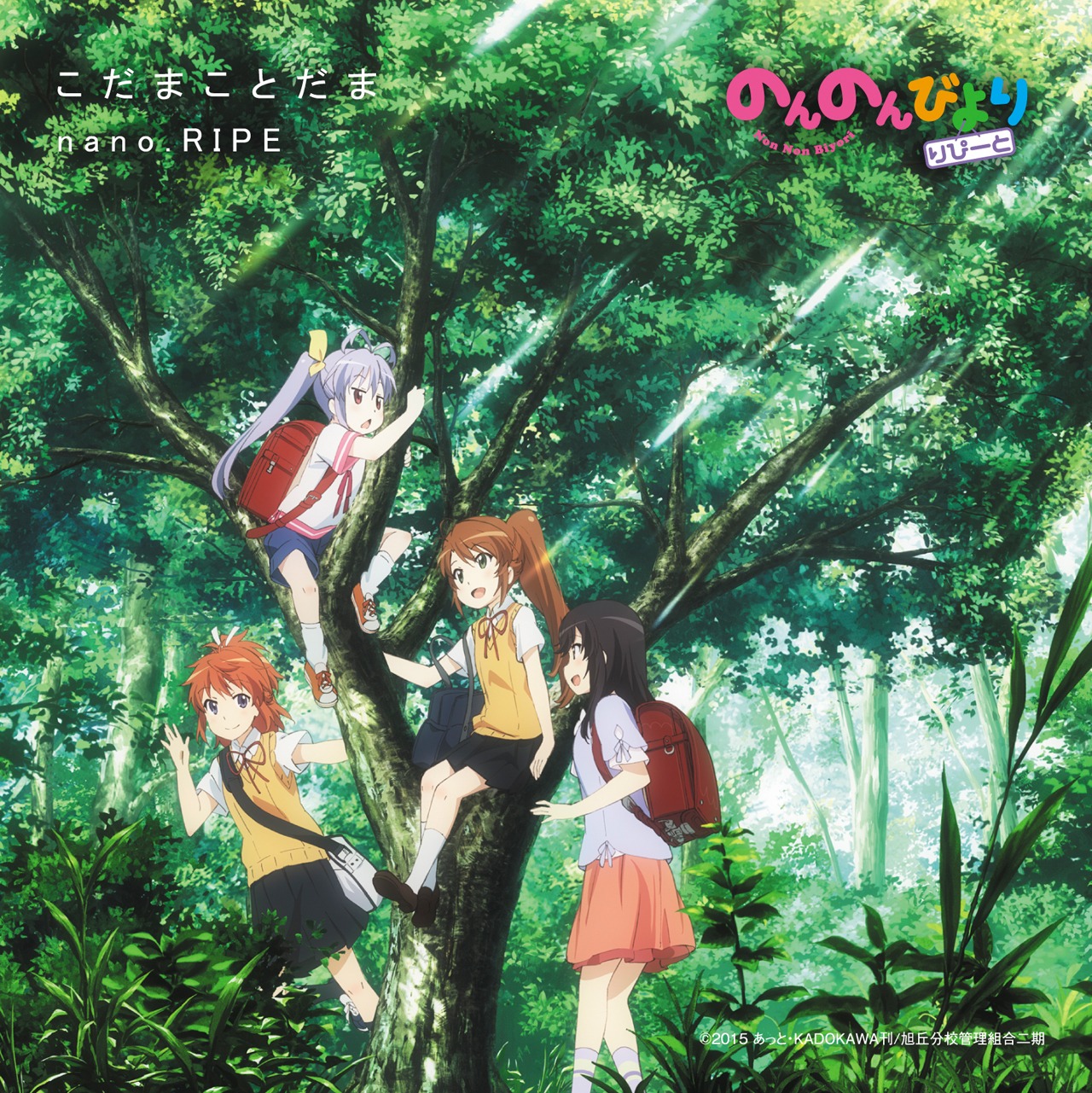 nano.RIPE「こだまことだま」アニメ盤ジャケット
