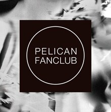 PELICAN FANCLUB「PELICAN FANCLUB」タワーレコードの購入特典ステッカー。