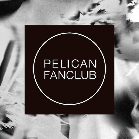 PELICAN FANCLUB「PELICAN FANCLUB」タワーレコードの購入特典ステッカー。