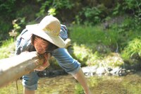 こたなぎもみじ