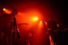 The fin.（撮影：小見山峻）