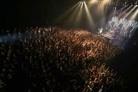 SAKANAMON「SAKANAMONワンマンツアー2015 ～あく太もく太の大冒険～」東京・Zepp DiverCity TOKYO公演の様子。（Photo by Taku Fujii）