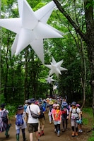 FUJI ROCK FESTIVAL '15の様子。