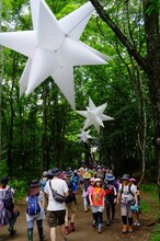 FUJI ROCK FESTIVAL '15の様子。