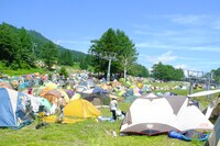 キャンプサイトの様子。