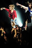 いとくとら（いくら）（Photo by Kana Tarumi）