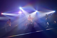 KANA-BOON「KANA-BOONのとぅるとぅるかむとぅるーTOUR 2015 ～夢のアリーナ編～」東京・日本武道館公演の様子。（撮影：古溪一道）