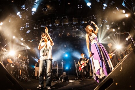 GOMESSと蟲ふるう夜に。 （撮影：粂井健太）