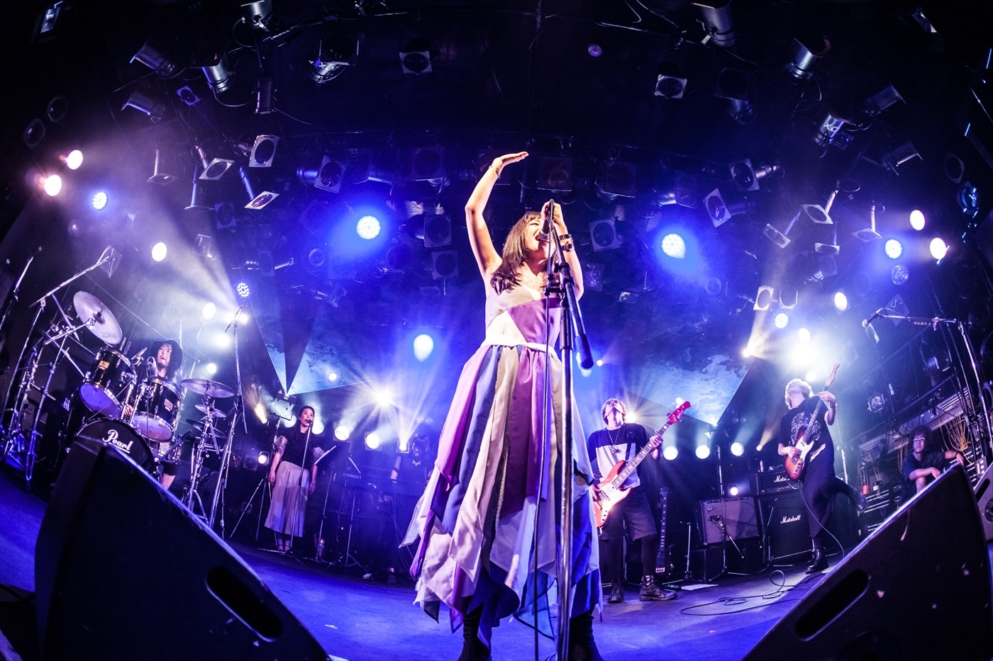 「蟲ふるう夜に ワンマンLIVE 2015 “スターシーカー”」の様子。 （撮影：粂井健太）