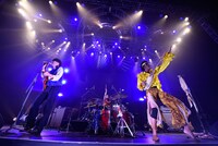 N'夙川BOYS（撮影：釘野孝宏）