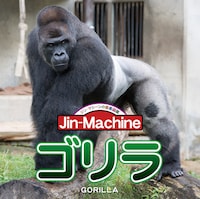 Jin-Machine「ゴリラ」ヒガシローランドゴリラ盤ジャケット