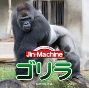 Jin-Machine「ゴリラ」ヒガシローランドゴリラ盤ジャケット