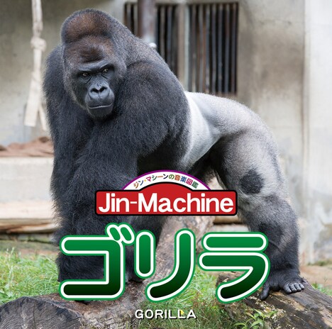 Jin-Machine「ゴリラ」ヒガシローランドゴリラ盤ジャケット