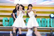 Dorothy Little Happy