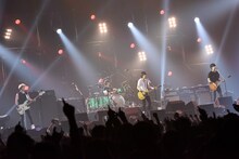 「BUMP OF CHICKEN Special Live 2015」横浜アリーナ公演の様子。（撮影：古渓一道）