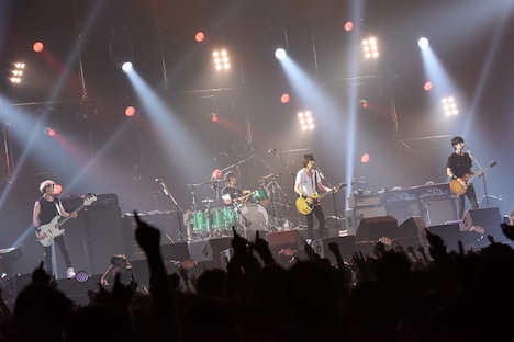 「BUMP OF CHICKEN Special Live 2015」横浜アリーナ公演の様子。（撮影：古渓一道）
