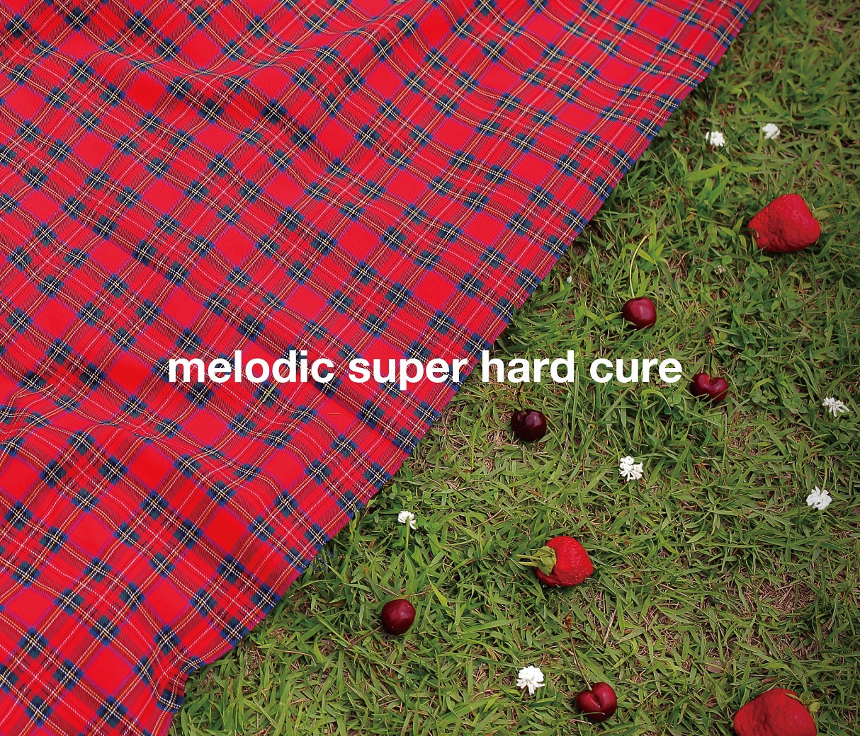 メロキュア10年ぶり新作にユニゾン田淵、toe柏倉ら強力プレイヤー陣続々