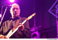 ウィルコ・ジョンソン