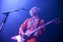 ひばりくん（G / 女王蜂）（撮影：タンベミサキ［Ohagi］）