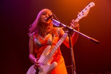 やしちゃん（B / 女王蜂）（撮影：タンベミサキ［Ohagi］）