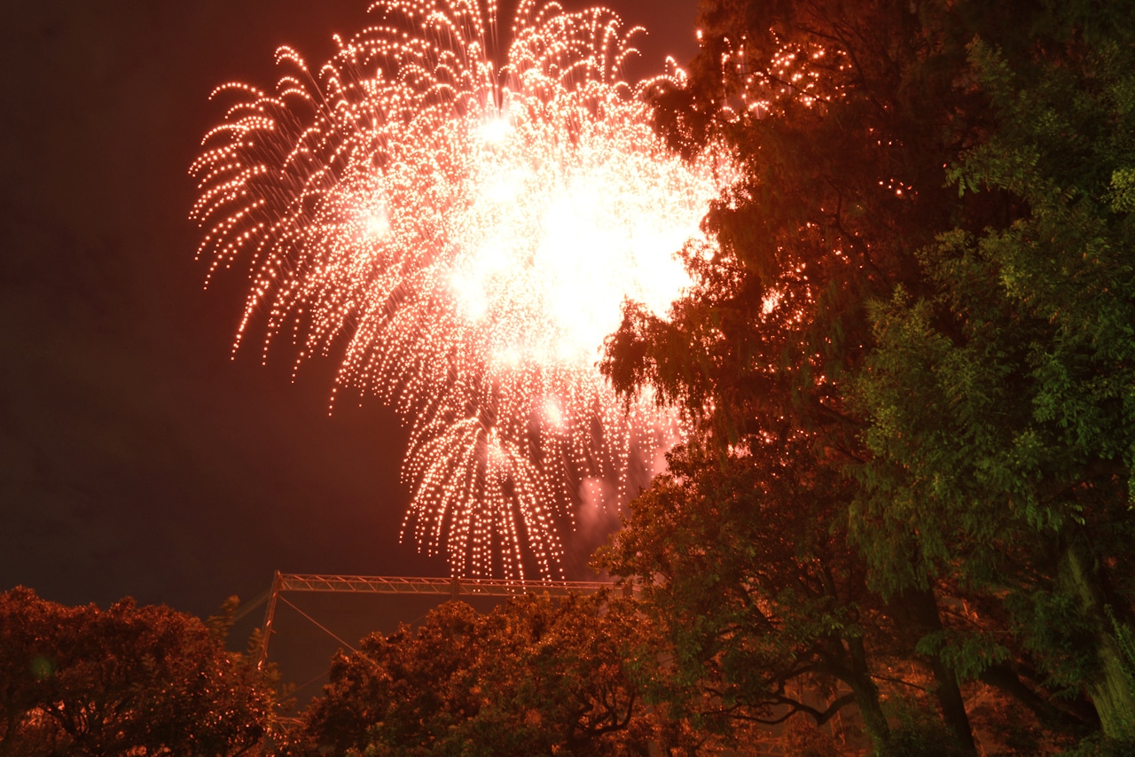 神宮軟式球場から見上げた花火。