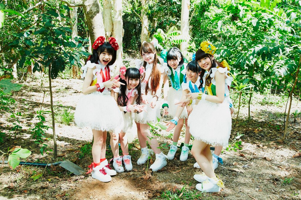 乙女新党「コアラを元気にします！」オーストラリアの観光スポット紹介