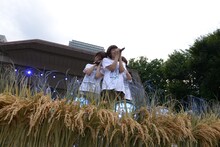 「Negicco at 日比谷野外音楽堂 Road of Negiiiiii ～Negicco One Man Show～ 2015 Summer」リハーサルの様子。