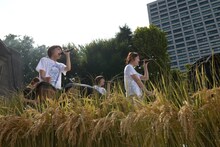 「Negicco at 日比谷野外音楽堂 Road of Negiiiiii ～Negicco One Man Show～ 2015 Summer」リハーサルの様子。