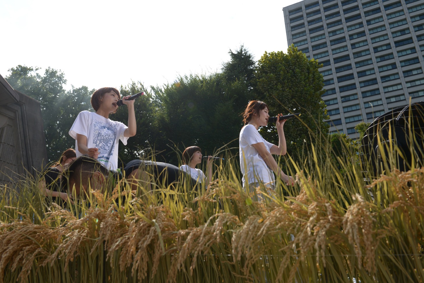 「Negicco at 日比谷野外音楽堂 Road of Negiiiiii ～Negicco One Man Show～ 2015 Summer」リハーサルの様子。