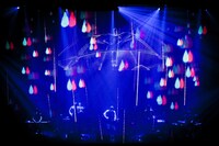 「amazarashi 5th anniversary live 3D edition」豊洲PIT公演の様子。（写真提供：ソニー・ミュージックアソシエイテッドレコーズ）