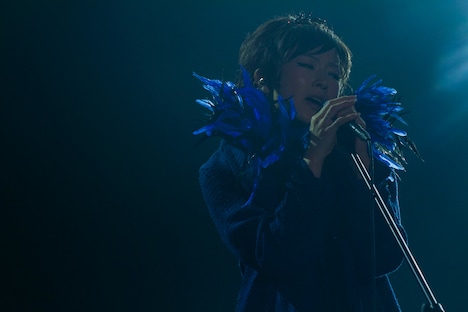 台湾・台北南港展覧館で行われた「椎名林檎 (生)林檎博'15 -垂涎三尺-」の様子。 （撮影：荒井俊哉）